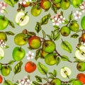 Seamless botanical pattern of hand drawn apples Royalty Free Stock Photo