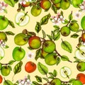 Seamless botanical pattern of hand drawn apples Royalty Free Stock Photo