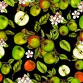 Seamless botanical pattern of hand drawn apples Royalty Free Stock Photo