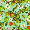 Seamless botanical pattern of hand drawn apples Royalty Free Stock Photo