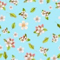 Seamless botanical pattern of hand drawn watercolor apple flowers Royalty Free Stock Photo