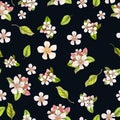 Seamless botanical pattern of hand drawn watercolor apple flowers Royalty Free Stock Photo