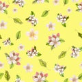 Seamless botanical pattern of hand drawn watercolor apple flowers Royalty Free Stock Photo