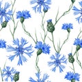 Seamless botanical pattern