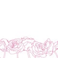 Seamless bottom border made of rose flower