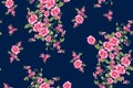 Seamless bright flower allover design with navy background Royalty Free Stock Photo