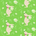 Seamless bright spring floral vector pattern, background with cute Easter bunny and daisy flowers. Royalty Free Stock Photo