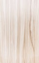 Seamless bright wood texture