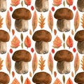 Seamless brown mushrooms pattern. Watercolor background with white mushroom or boletus, fall maple, oak, birch orange, red, yellow Royalty Free Stock Photo