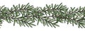 Seamless brush, pattern of rosemary branch. Vector illustration