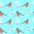 Seamless with bullfinch