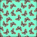 Seamless Butterfly Pattern (Limenitis lorquini) with bright background