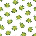 Seamless cactus pattern