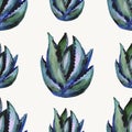 Seamless cactus pattern on a white background. Watercolor illustration