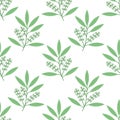 Seamless cajeput pattern