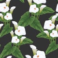 Seamless calla lilies flower background, elegant fashion colorful pattern with flowers.