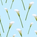 Seamless calla lilies flower background, elegant fashion colorful pattern with flowers.