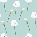 Seamless calla lilies flower background, elegant fashion colorful pattern with flowers.