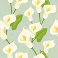 Seamless Calla Lily