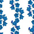 Seamless campanula pattern