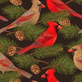 Seamless cardinal and spruce