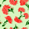 Seamless Carnations on green background.