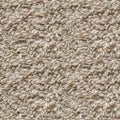 Seamless Carpet Texture