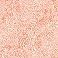 Seamless cell pattern Royalty Free Stock Photo