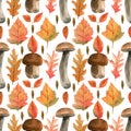 Seamless ceps pattern. Watercolor background with Boletus edulis mushrooms, fal orange, red, green, yellow leaves of oak, maple, Royalty Free Stock Photo