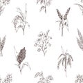 Seamless cereal pattern. Vintage background with engraved grain crops, spikelets print. Repeating texture design with