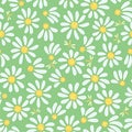 Seamless chamomile background