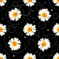 Seamless chamomile pattern on black background with doodles