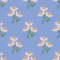 Seamless chamomile pattern