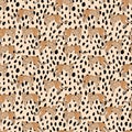 Seamless cheetah pattern on animal skin