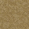 Seamless Cheetah Skin