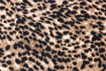 Seamless Cheetah Skin Pattern on Cloth Royalty Free Stock Photo