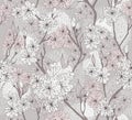 Seamless cherry blossom flowers pattern