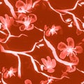 Seamless Cherry Flower Pattern. Watercolour Royalty Free Stock Photo