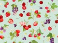 Seamless cherry, strawberry, raspberry, black currant pattern with summer berries, fruits, leaves Royalty Free Stock Photo