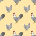 Seamless chicken pattern with farm birds - roosters and hens.