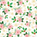 Seamless Christmas Pattern With Red, Gold Poinsettia, Holly, Mistletoe And Berries On White Background Design