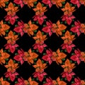 Seamless christmas pattern with red poinsettia, black background, gold outline, holly, mistletoe and berries. Royalty Free Stock Photo