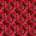 Seamless christmas pattern with red poinsettia, black background, gold outline, holly, mistletoe and berries. Royalty Free Stock Photo