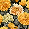 Seamless Chrysanthemum Vector Pattern On Black Background