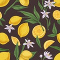 Seamless citric pattern with fruits, leaves and branches of blooming lemon tree on dark background. Endless hand-drawn