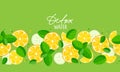 Seamless Citrus fruit with cucumber and mint leaves pattern. Fruit and vegetables and leaf border on green. Flat vector Royalty Free Stock Photo