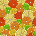 Seamless citrus fruit pattern. Pattern of orange, grapefruit, pomelo, lemon and lime slices. A vintage-style fruit pattern with fu Royalty Free Stock Photo