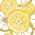 Seamless citrus pattern