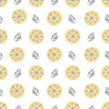 Seamless citrus pattern. Fruit Pattern Hand Draw. Royalty Free Stock Photo