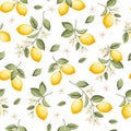 Seamless citrus pattern with lemons. Vector illustration.